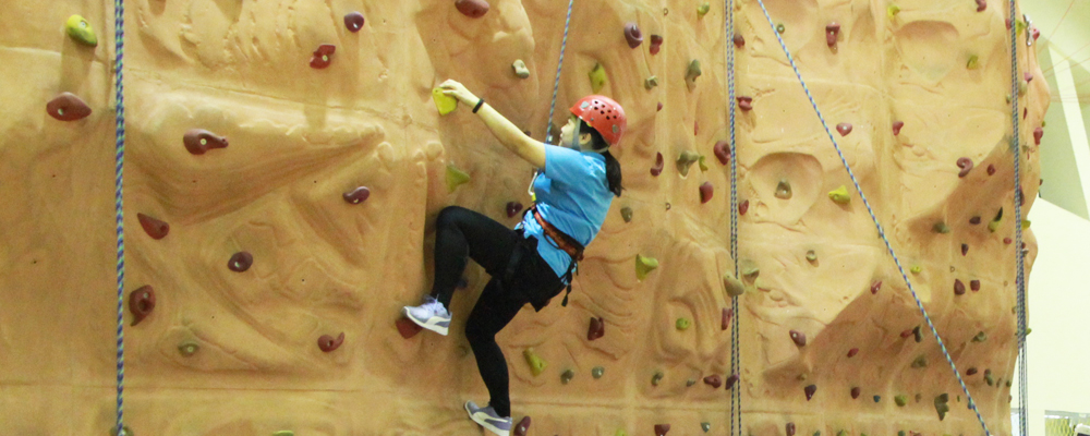 5F Rock climbing field/tree climbing space