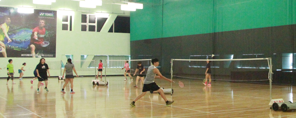 7F Professional indoor feather court
