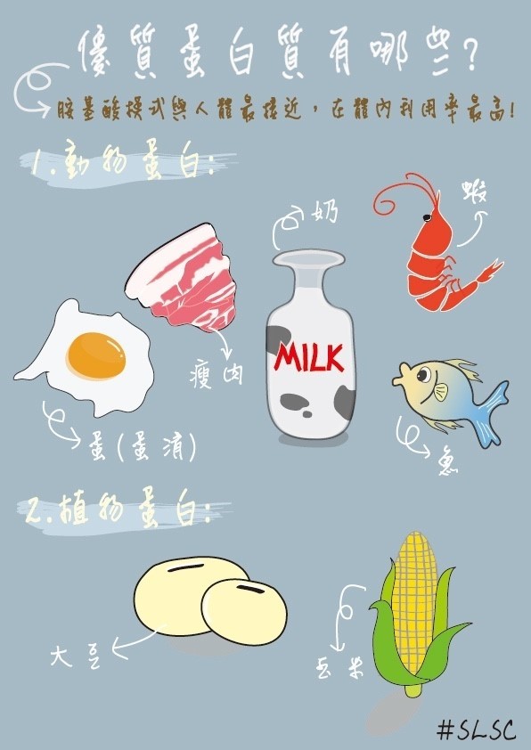 優質蛋白質有哪些？